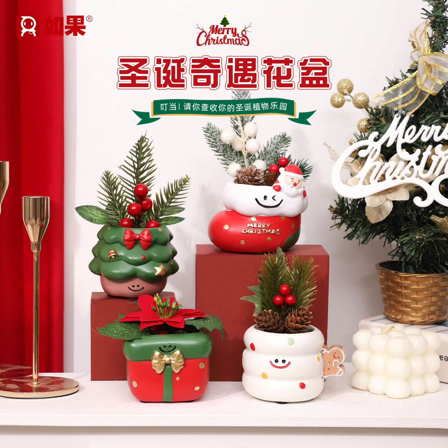 圣诞奇遇花盆